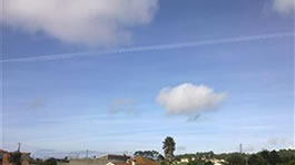 Ana Bela Ferreira DR 27.10.17